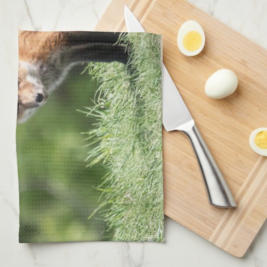 Roter Fox-Ausrüstung Küchentuch (Viertel Falte)