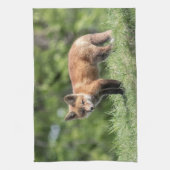 Roter Fox-Ausrüstung Küchentuch (Vertikal)