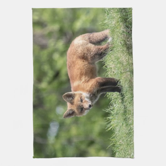 Roter Fox-Ausrüstung Küchentuch (Vertikal)