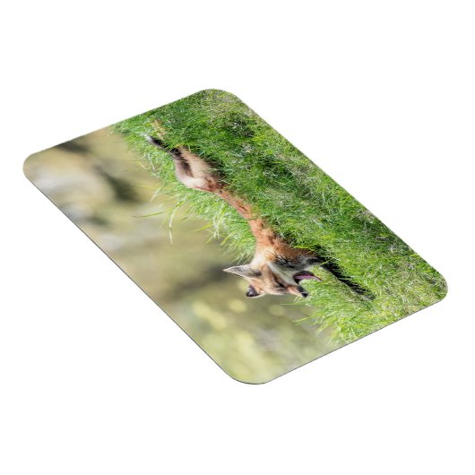 Roter Fox-Ausrüstung Magnet (Rechte Seite)