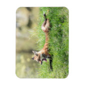 Roter Fox-Ausrüstung Magnet (Vertikal)