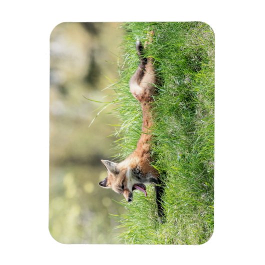 Roter Fox-Ausrüstung Magnet (Vertikal)