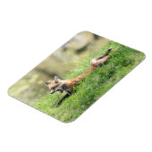 Roter Fox-Ausrüstung Magnet (Linke Seite)