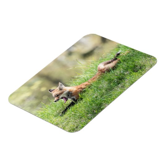 Roter Fox-Ausrüstung Magnet (Linke Seite)