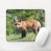 Roter Fox-Ausrüstung Mousepad (Mit Mouse)