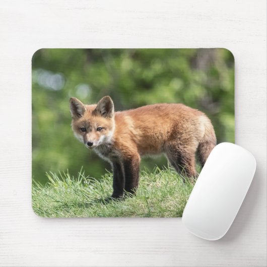 Roter Fox-Ausrüstung Mousepad (Mit Mouse)