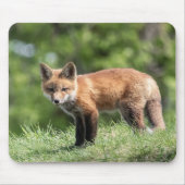 Roter Fox-Ausrüstung Mousepad (Vorne)