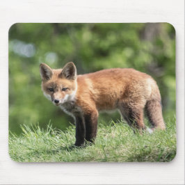 Roter Fox-Ausrüstung Mousepad