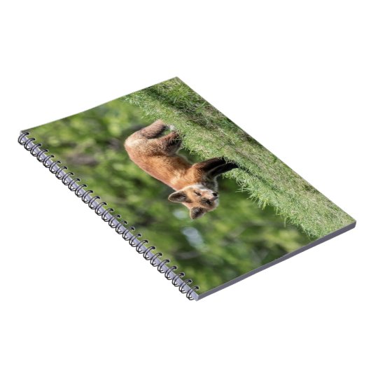 Roter Fox-Ausrüstung Notizblock (Rechte Seite)