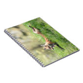 Roter Fox-Ausrüstung Notizblock (Rechte Seite)