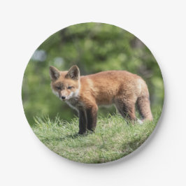 Roter Fox-Ausrüstung Pappteller