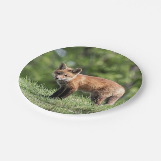 Roter Fox-Ausrüstung Pappteller (Schrägansicht)