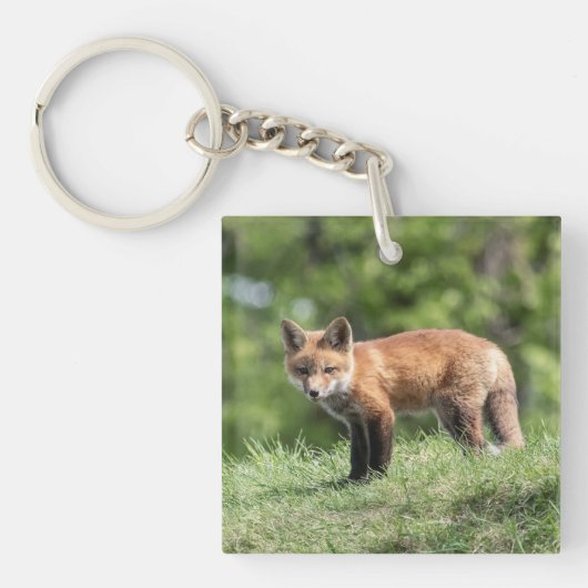 Roter Fox-Ausrüstung Schlüsselanhänger (Vorderseite)
