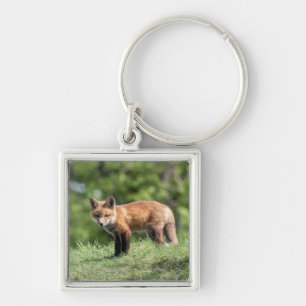 Roter Fox-Ausrüstung Schlüsselanhänger