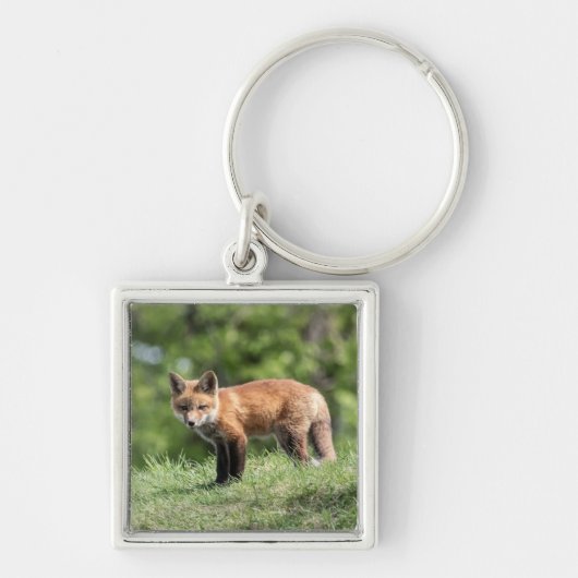 Roter Fox-Ausrüstung Schlüsselanhänger (Vorne)