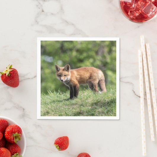 Roter Fox-Ausrüstung Serviette (Beispiel)