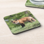 Roter Fox-Ausrüstung Untersetzer (Linke Seite)