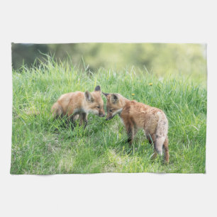 Roter Fox-Ausrüstungen Küchentuch