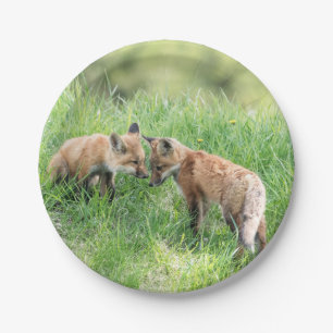 Roter Fox-Ausrüstungen Pappteller