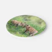 Roter Fox-Ausrüstungen Pappteller (Schrägansicht)