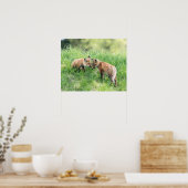 Roter Fox-Ausrüstungen Poster (Küche)