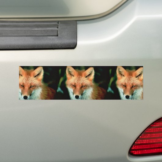Roter Fox Autoaufkleber (Auf Auto)