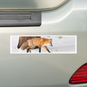 Roter Fox Autoaufkleber (Auf Auto)