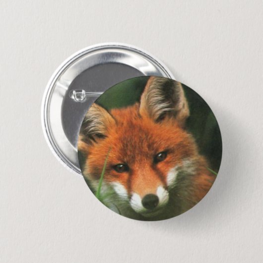 Roter Fox Button (Vorne & Hinten)