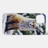 Roter Fox, der auf Schneebank, Vulpes, Mt. sitzt Case-Mate iPhone Hülle (Rückseite (Horizontal))