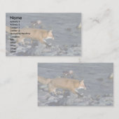 Roter Fox, der neben Fluss läuft Visitenkarte (Vorne/Hinten)