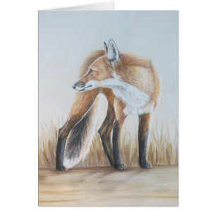 Roter Fox, der zurück schaut