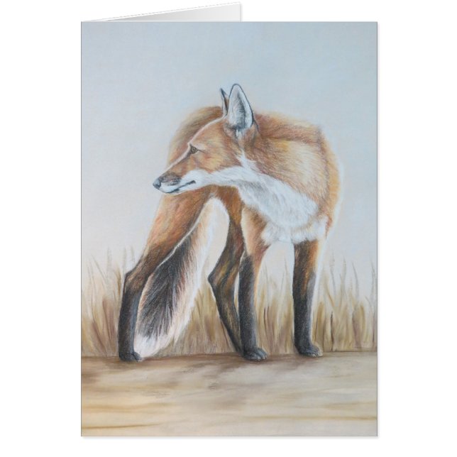 Roter Fox, der zurück schaut (Vorne)