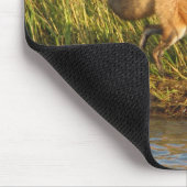 Roter Fox-Fotografie Mousepad (Ecke)