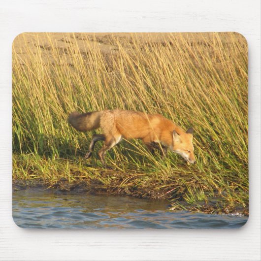 Roter Fox-Fotografie Mousepad (Vorne)