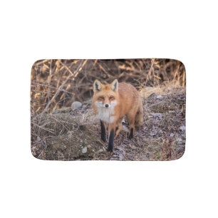 Roter Fox herauf nahes und persönliches Badematte
