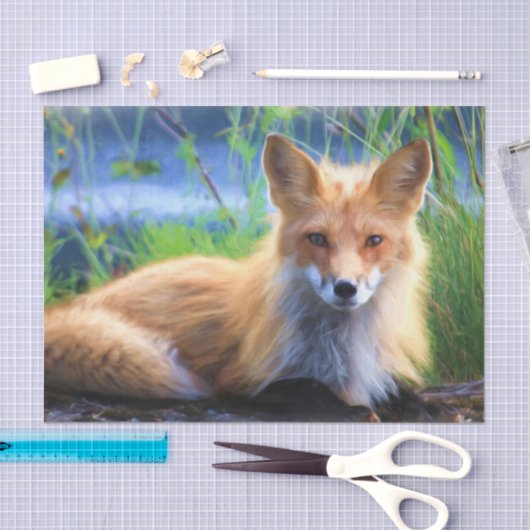 Roter Fox im Gras Landschaftliche Tierwelt Seidenpapier (Handwerk)
