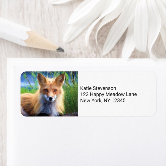 Roter Fox im Gras-Wildlife-Image (Insitu)