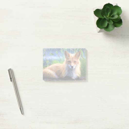 Roter Fox im Gras-Wildlife-Image Post-it Klebezettel (Büro)