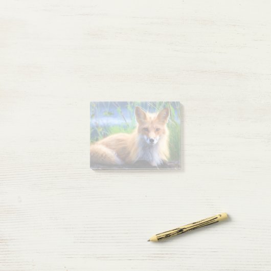 Roter Fox im Gras-Wildlife-Image Post-it Klebezettel (Auf Schreibtisch)