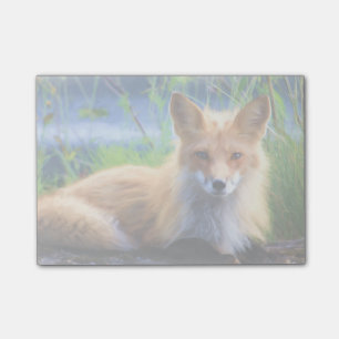 Roter Fox im Gras-Wildlife-Image Post-it Klebezettel