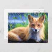 Roter Fox im Gras-Wildlife-Image Postkarte (Vorne/Hinten)