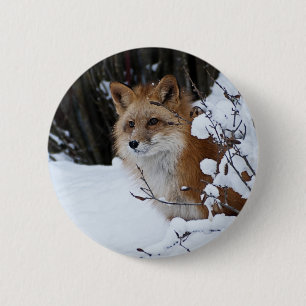 Roter Fox im Schnee Button