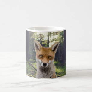 Roter Fox im Wald Kaffeetasse