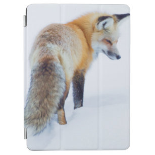 Roter Fox im Winter iPad Air Hülle