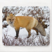 Roter Fox im Winter Mousepad (Vorne)