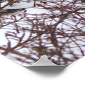 Roter Fox im Winter Poster (Ecke)