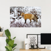 Roter Fox im Winter Poster (Heimbüro)