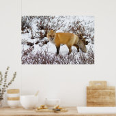 Roter Fox im Winter Poster (Küche)