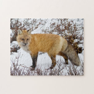 Roter Fox im Winter Puzzle