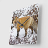 Roter Fox im Winter Quadratische Wanduhr (Winkel)